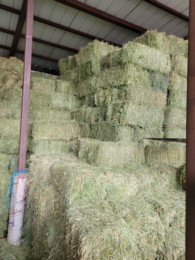 PREMIUM horse hay / Delivery services
