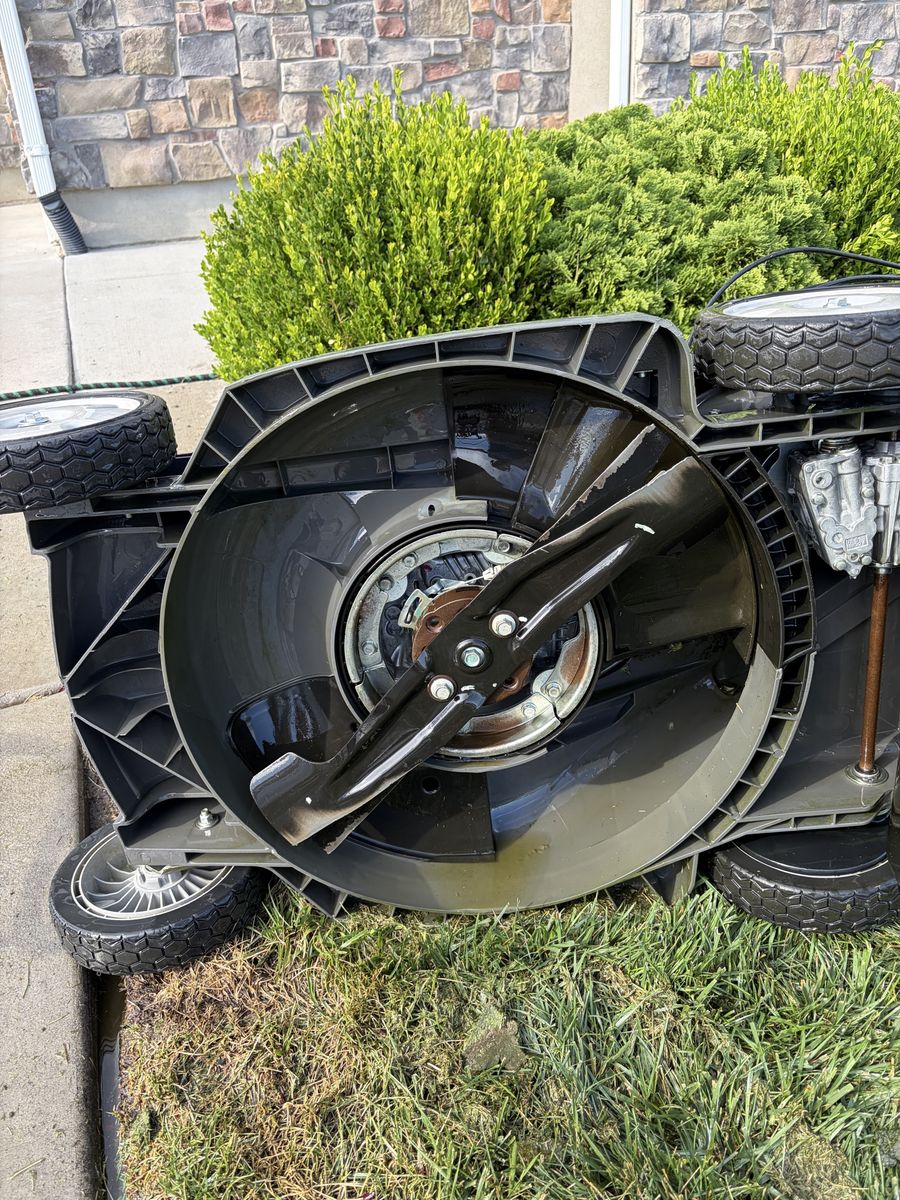 Main image 5