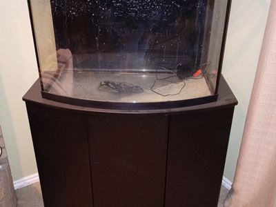 Bow-Front 38 gallon aquarium, light and matching Stand- very good Condition, just needs minor cleaning.
