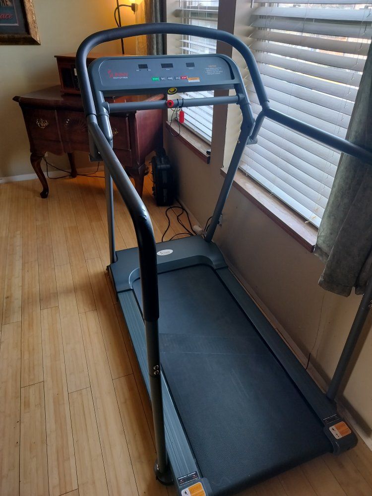 sunny health and fitness treadmill