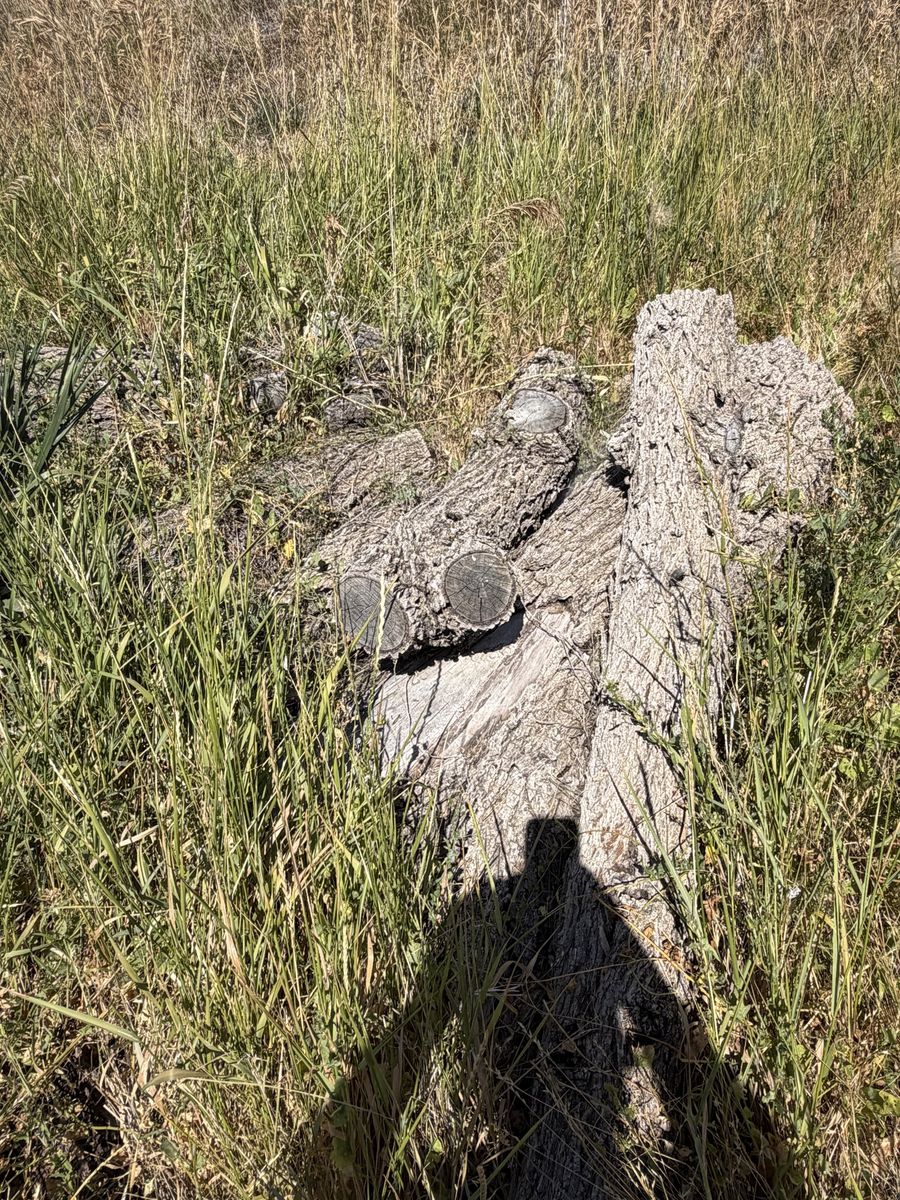 Main image 10