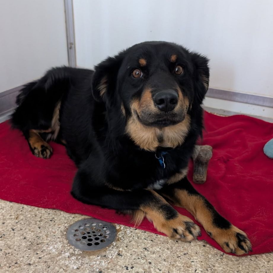 Hello my name is Ruben