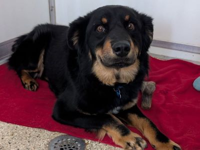 Hello my name is Ruben