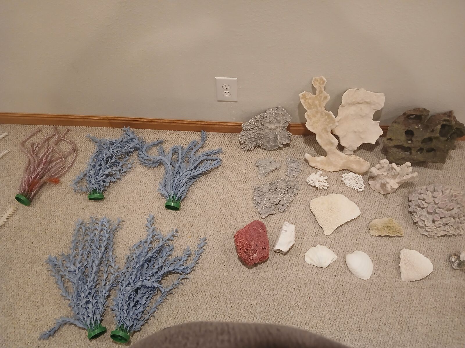 AQUARIUM PLANTS AND CORAL