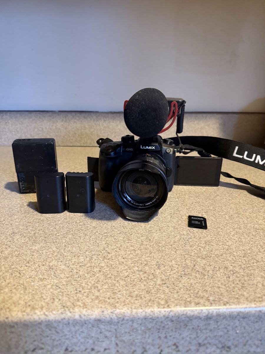 Panasonic Lumix GH5 + Leica 12-60mm Lens + Accessories — $480 OBO