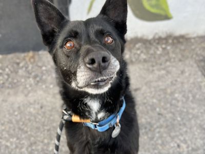 Hello my name is Charles