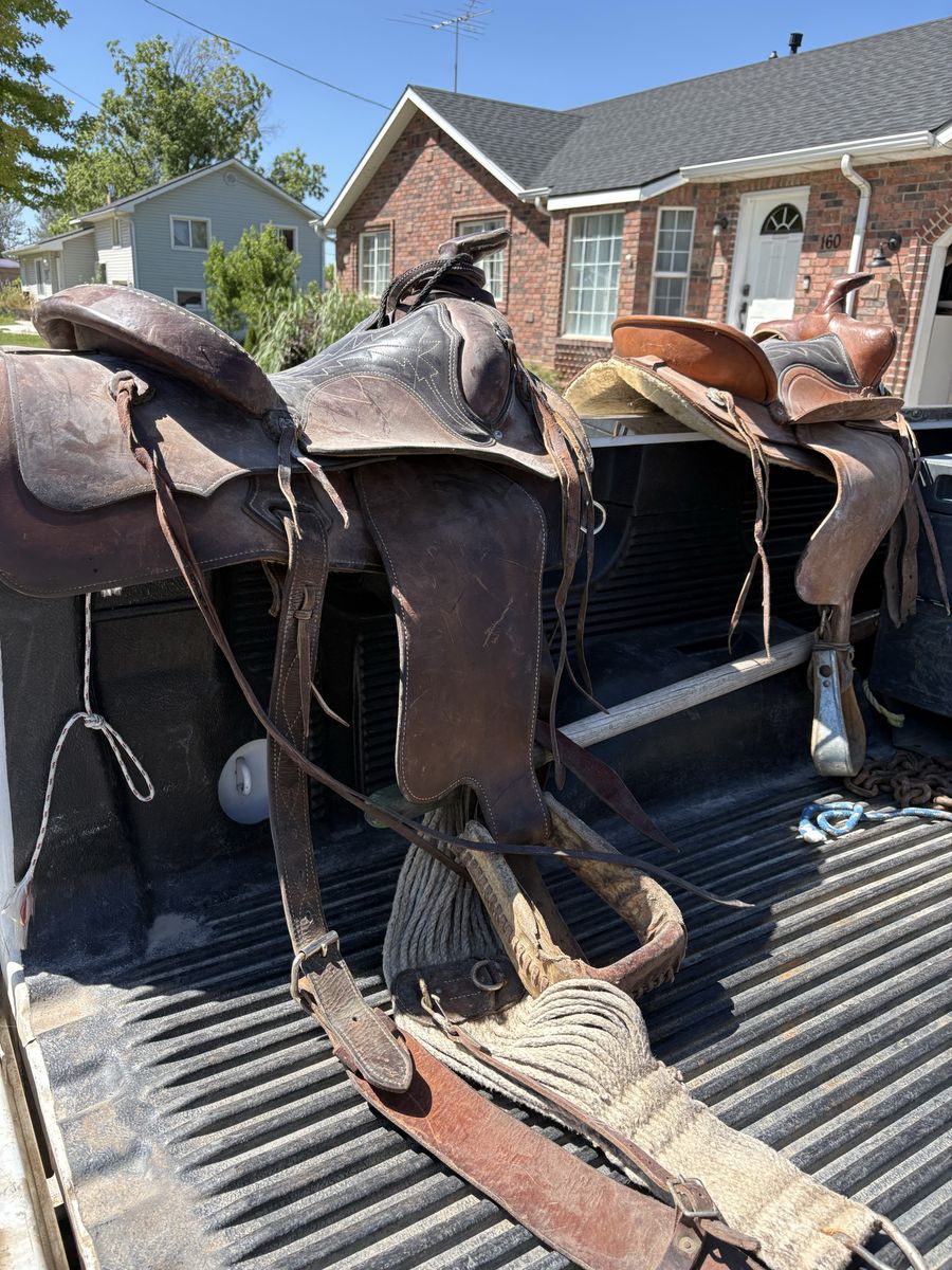 Saddles