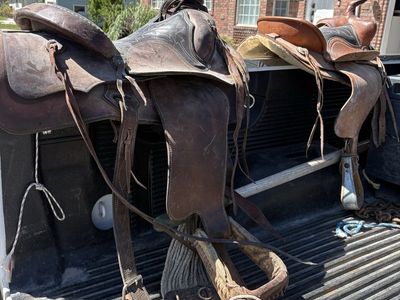 Saddles