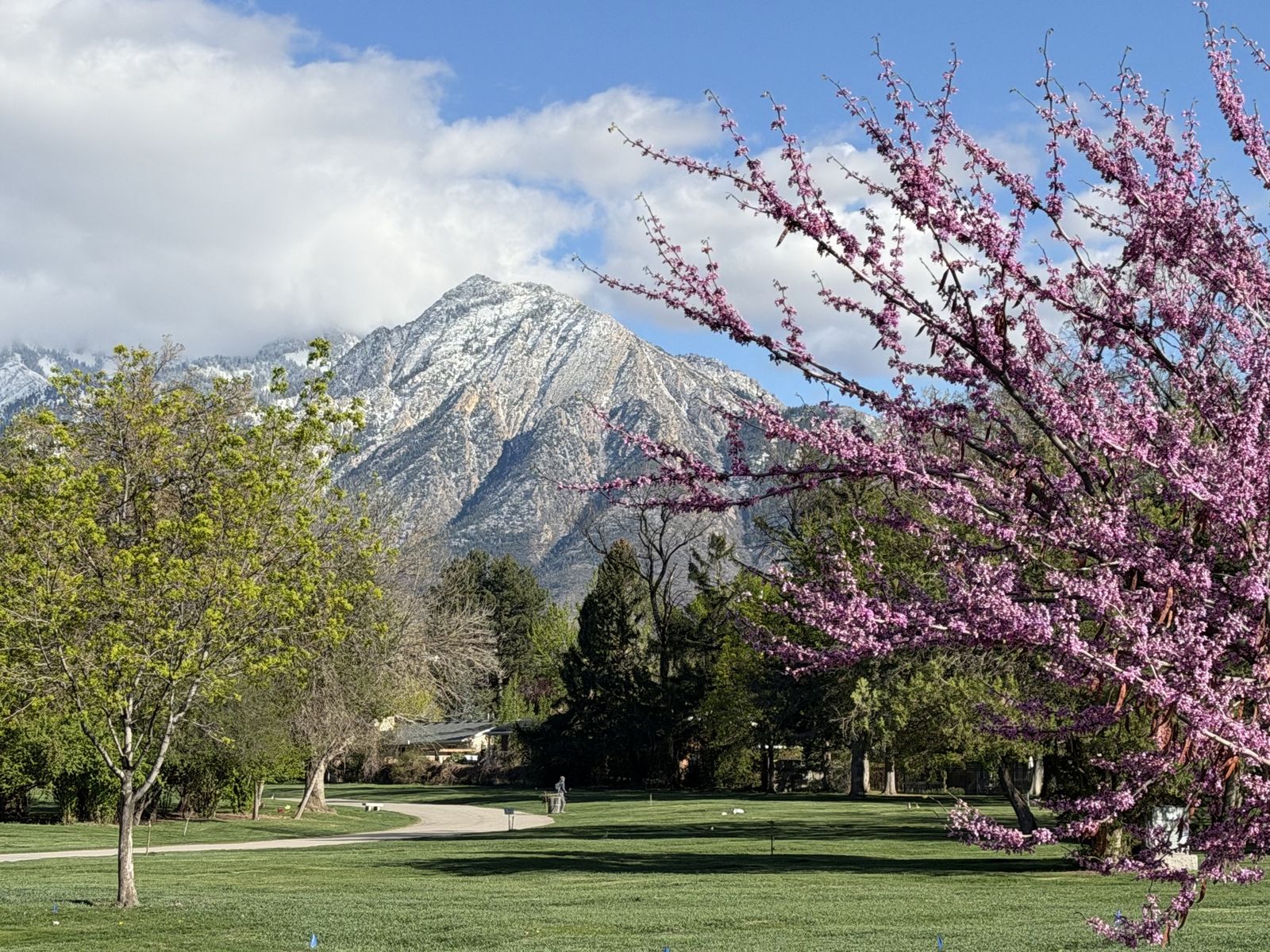 Main image 5