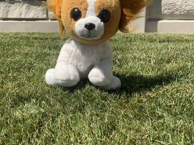 Ty beanie boo Barks