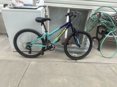 Nishiki pueblo 24 mountain bike
