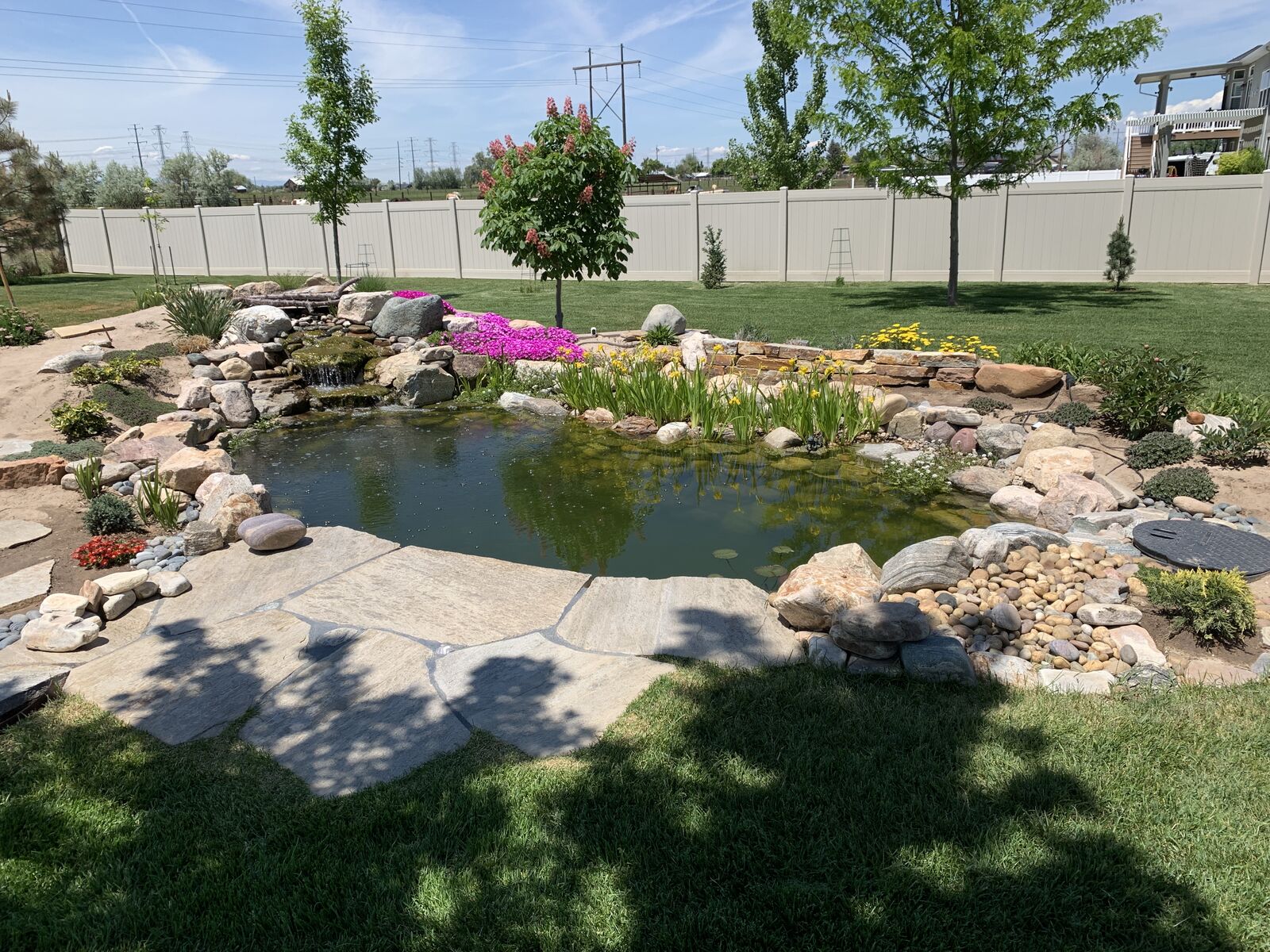 Complete Koi Pond: Equipment, Fish, Rocks, Plants and Waterfall included