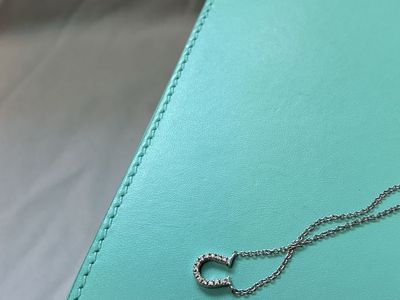 TIFFANY & Co. Metro Horseshoe Diamond Necklace 18k WG Au750 WG White Gold Used