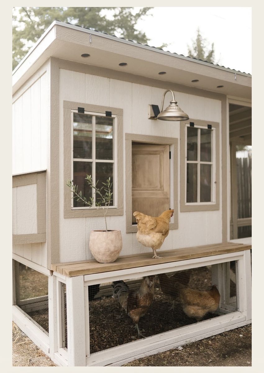 Chicken Coop Build Plans