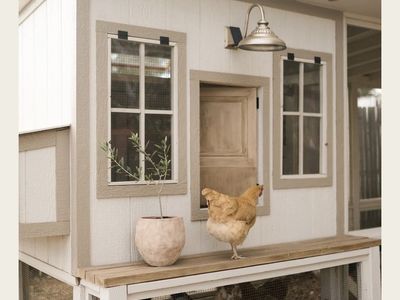 Chicken Coop Build Plans