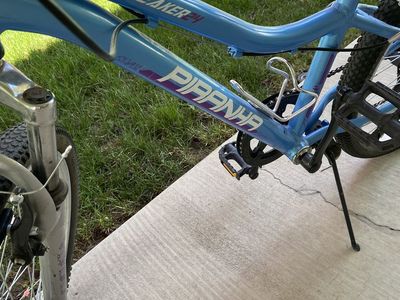 Youth mountain bike