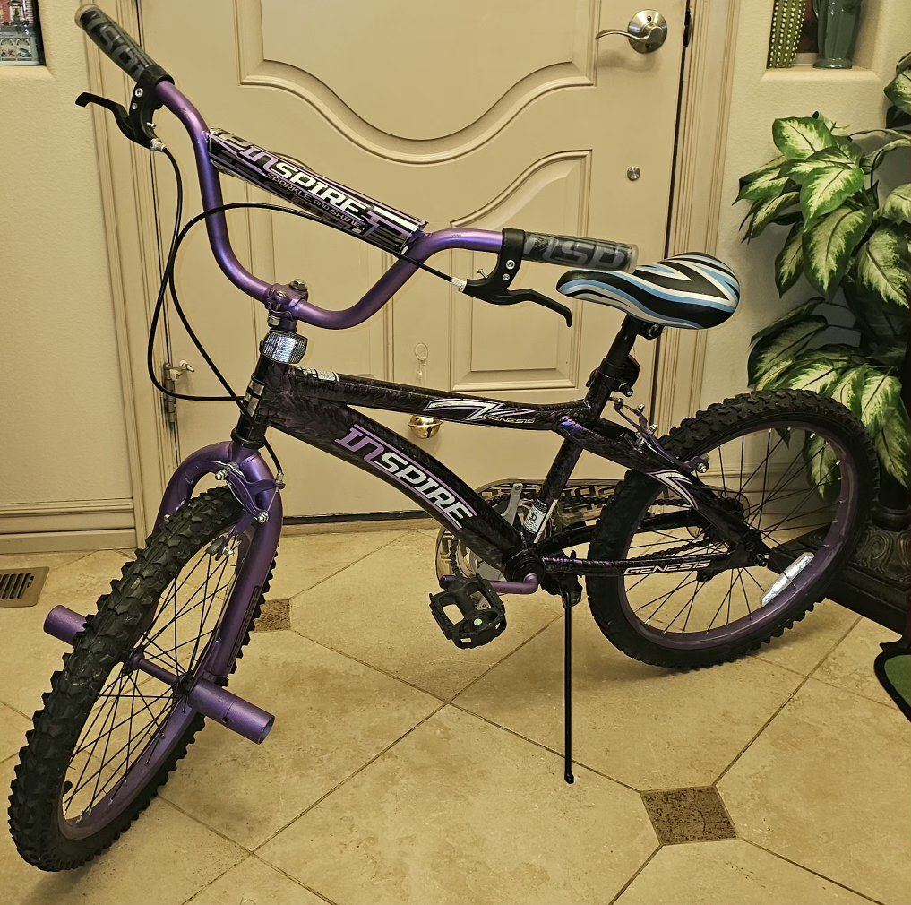20" Dynacraft Inspire BMX Bike