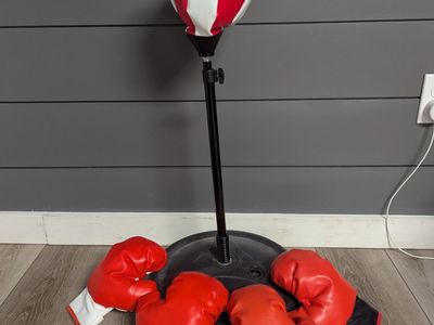Toddler boxing bag and mitts