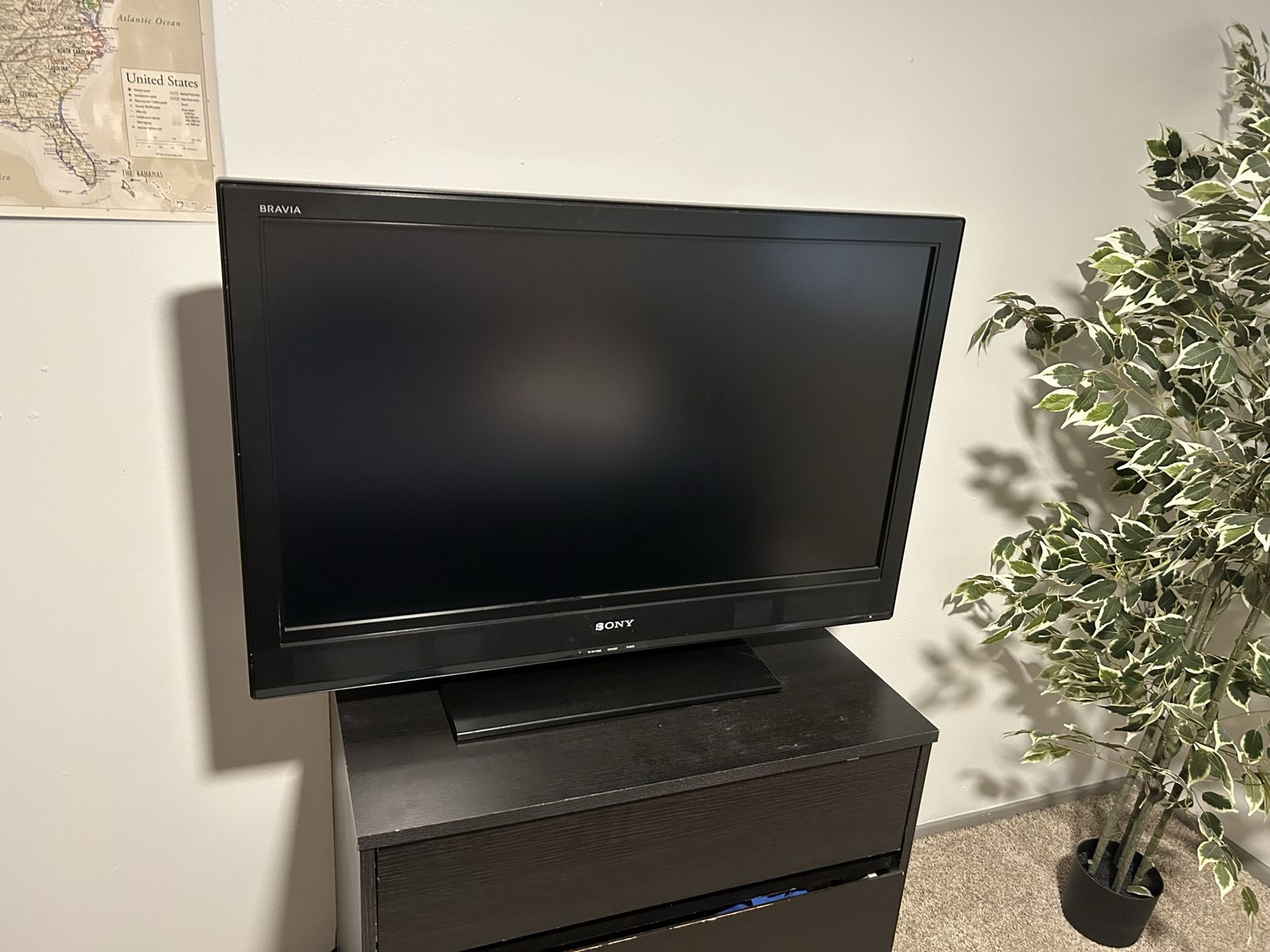 Sony BRAVIA Flat Screen TV (Black)