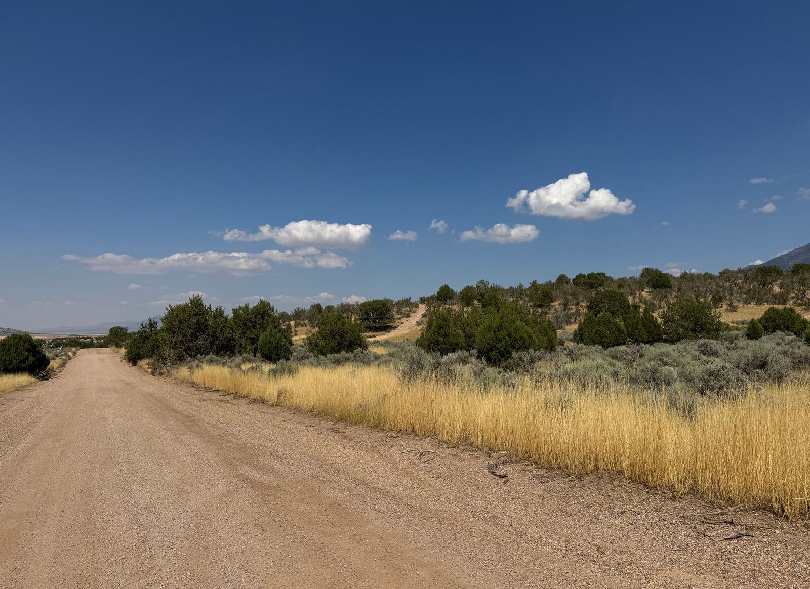 Main image 11