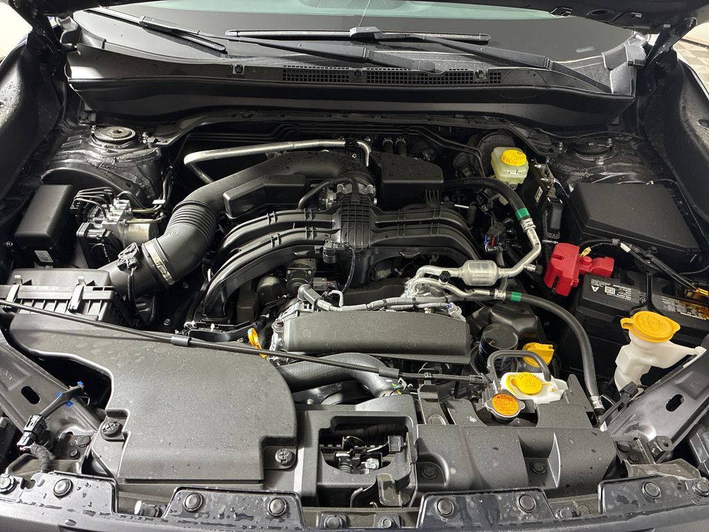 Main image 4