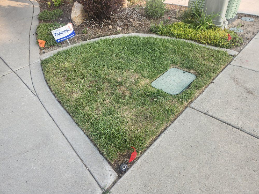 Sod / Grass