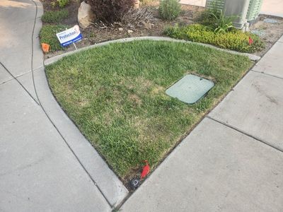 Sod / Grass