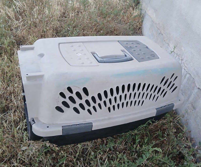 Main image 2
