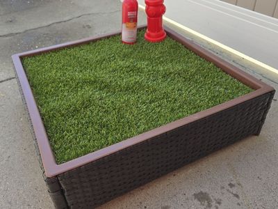 Porch Potty for dogs