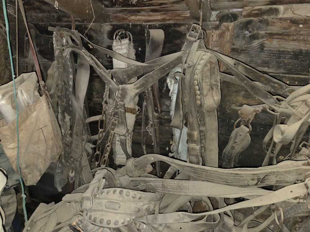 Main image 4