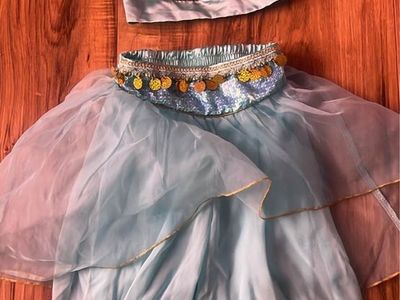 Disney Princess Jasmine Costume Size 4 Blue Top and Pants Set