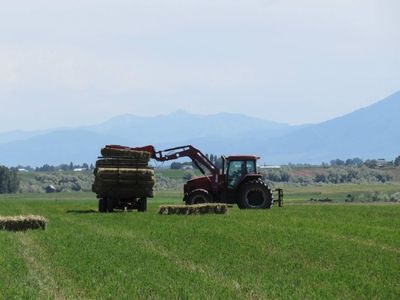 For sale 2 string premium grass/alfalfa mix