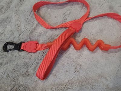 Zee.Dog Neon Coral Ruff Dog Leash 2.0 (Sm. 4FT)