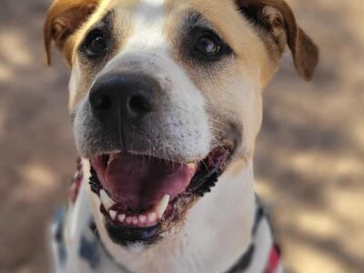 Hello my name is Junie