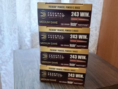 .243 Winchester