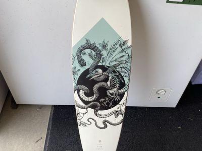 Arbor Fish Longboard