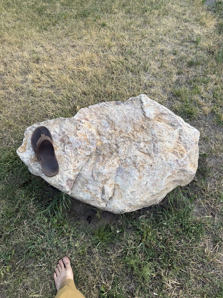 Main image 6