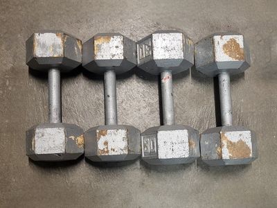 dumbbells 110 pounds