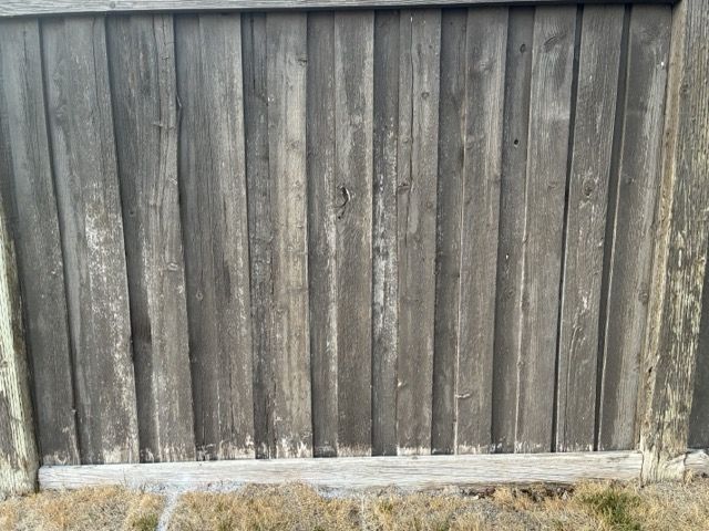 Main image 3