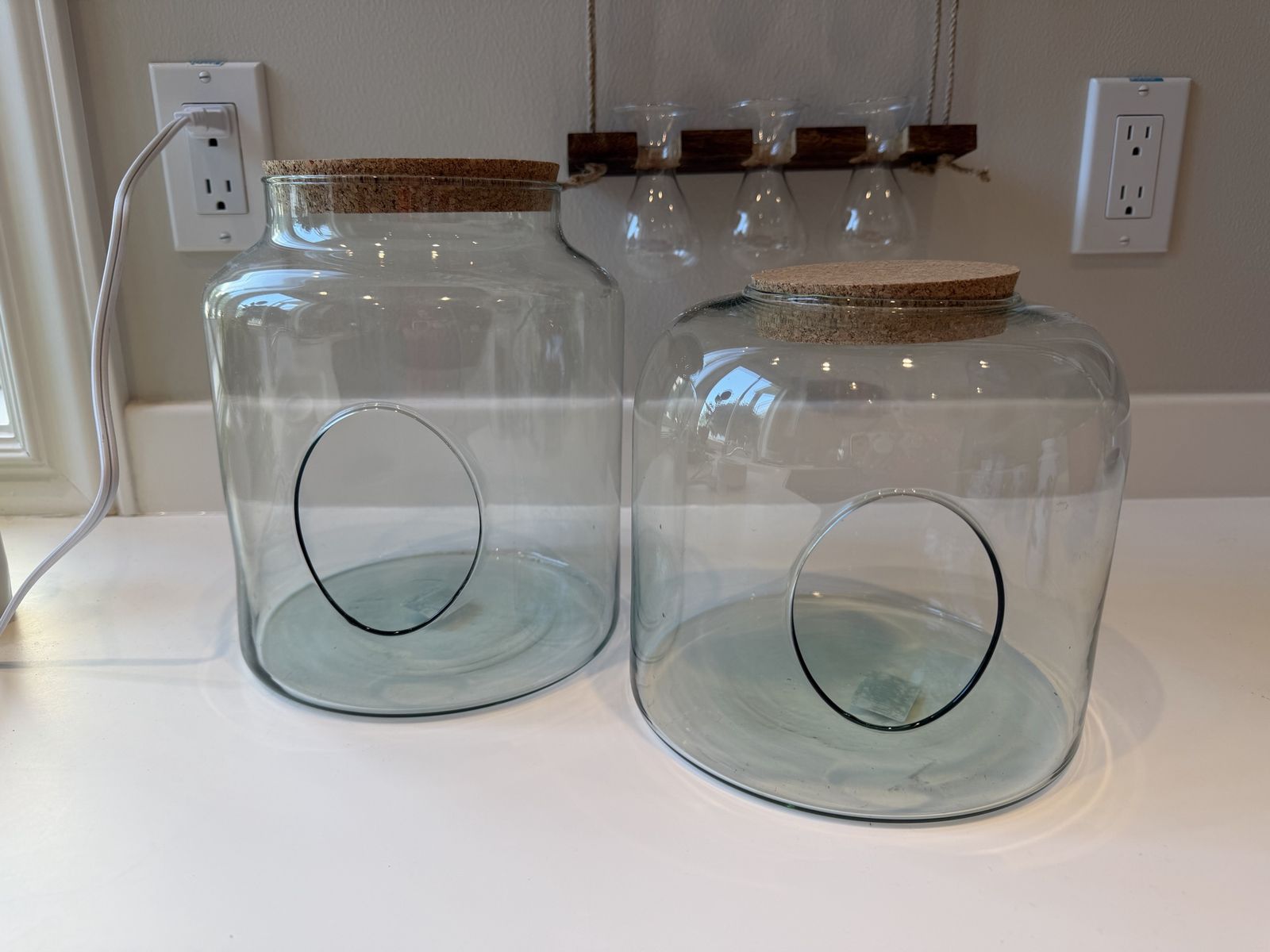 Like new! Crate & Barrel Large Glass Terrarium Jars w/ Cork Lids, Set of 2