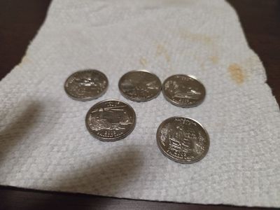 2003 State Quarter platinum Uncirculated 5 coins