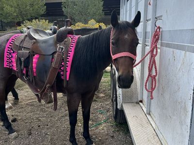2020 AQHA mare