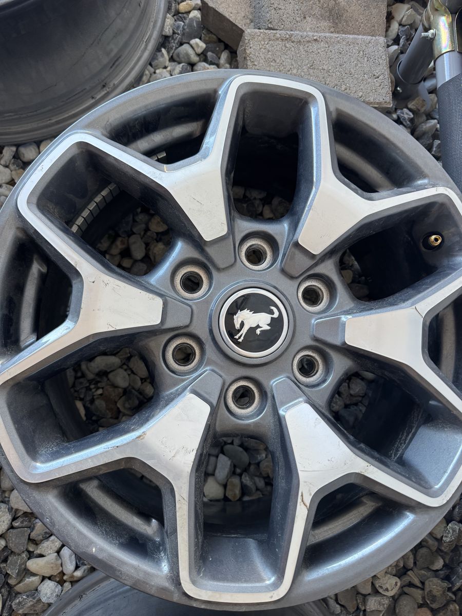 Ford Bronco Rims
