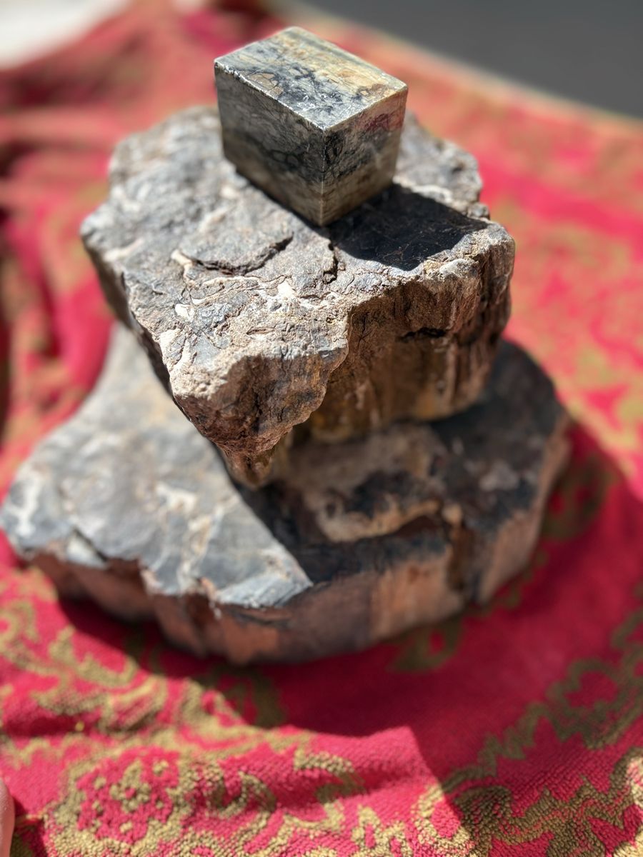Petrified Wood Set