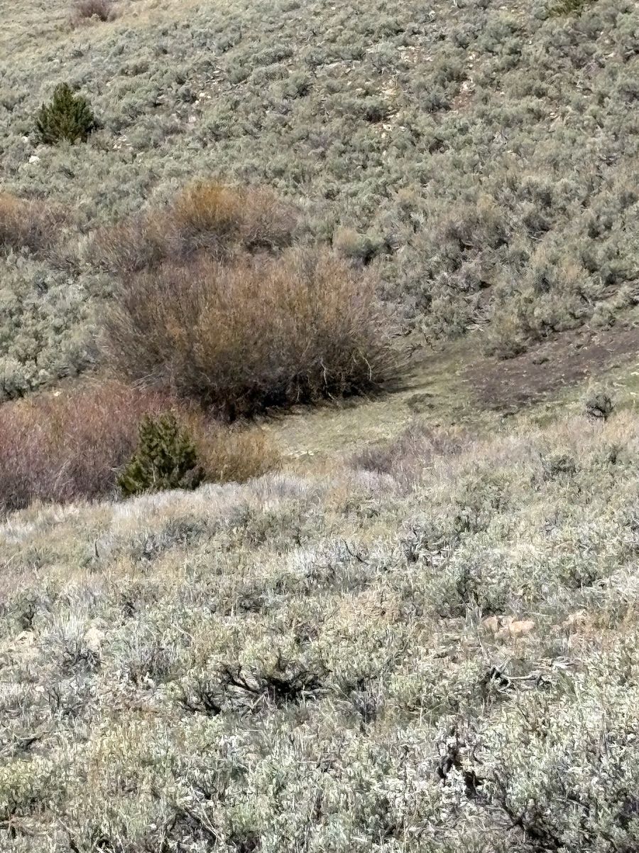 Main image 4