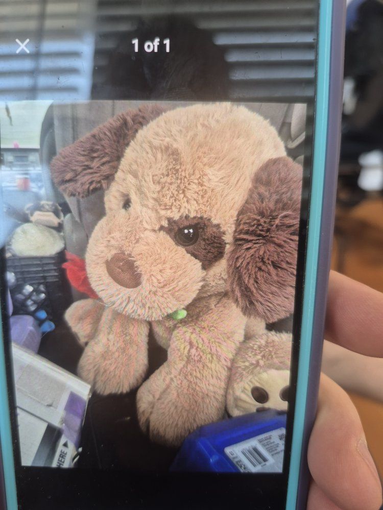 teddy bear