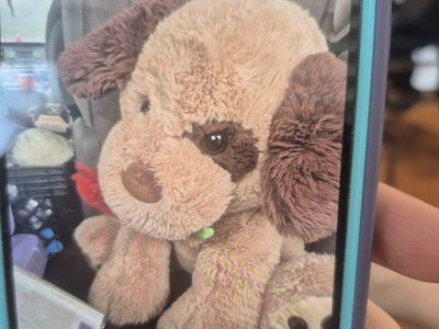 teddy bear