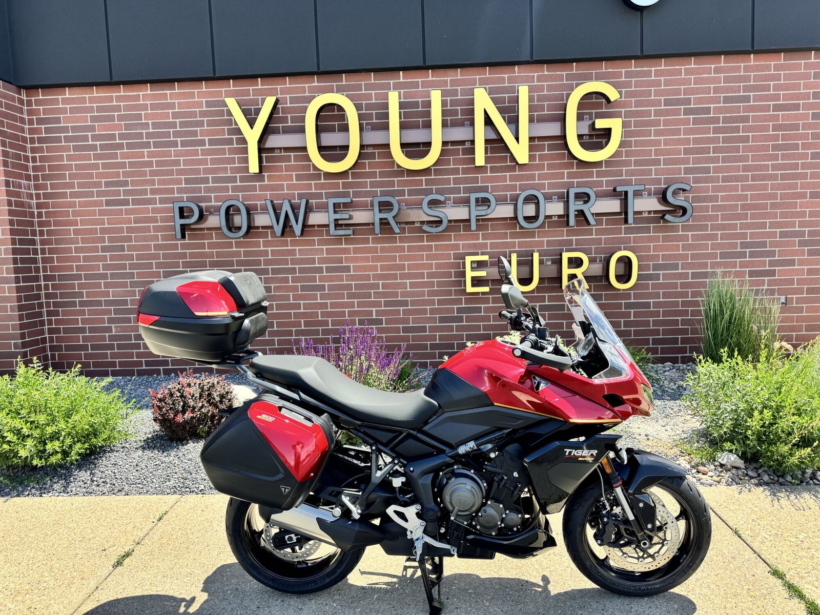 2026 Triumph Tiger Sport 800 Tour