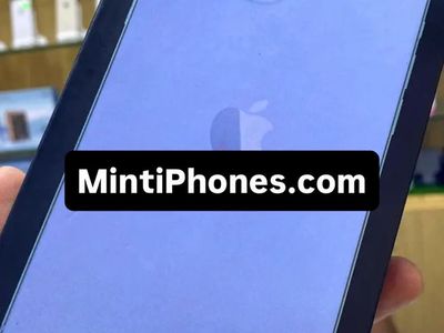 Apple iPhone 13 Pro Max