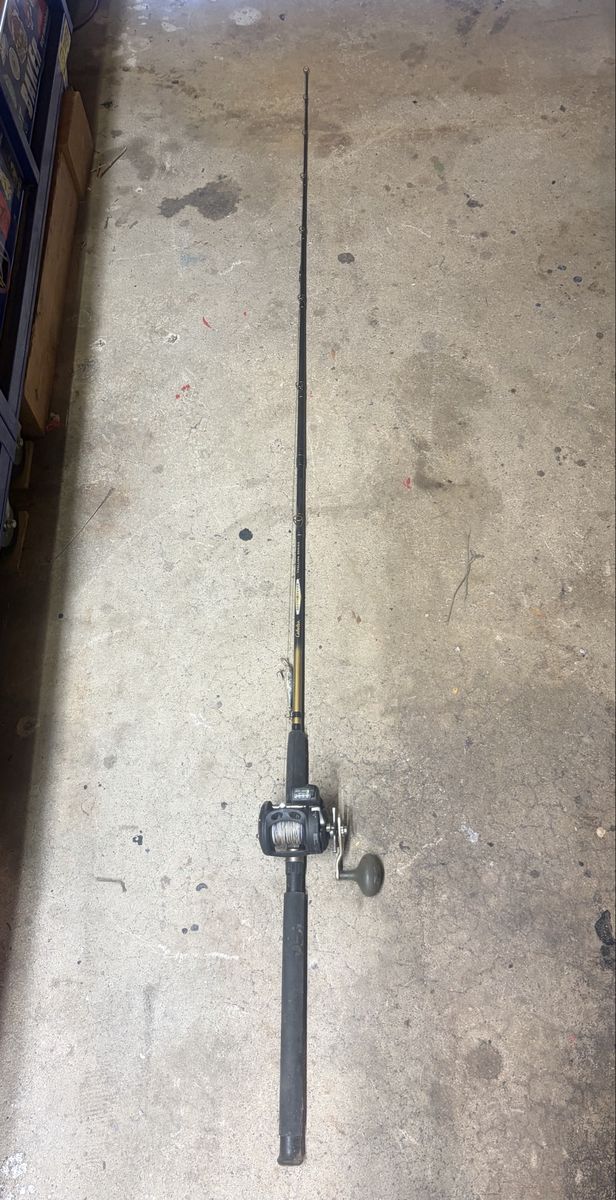Trolling pole